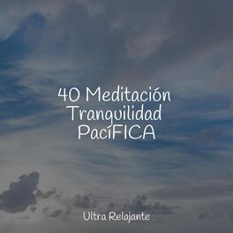 Album cover of 40 Meditación Tranquilidad PacíFICA