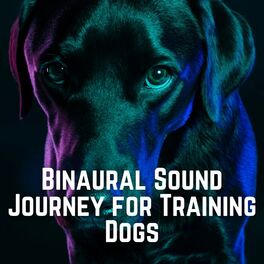 Album cover of Binaural Sound Journey for Training Dogs