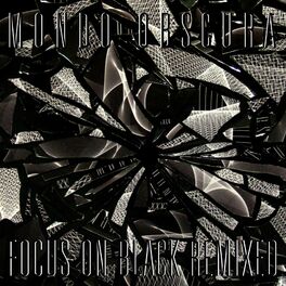 Album cover of Focus On Black Remixed