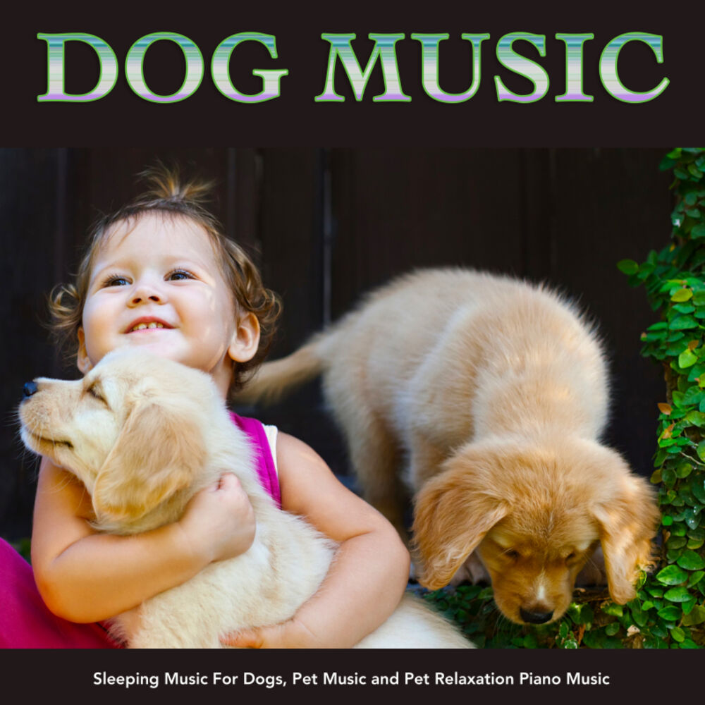 Dog Piano. Music pets