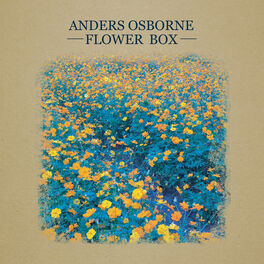 Album cover of Flower Box