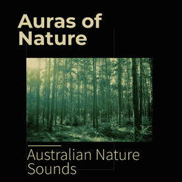 Album cover of Auras of Nature