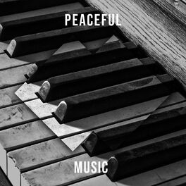 Album cover of Peaceful Chillout Music