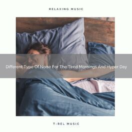 Album cover of Different Type Of Noise For The Tired Mornings And Hyper Day