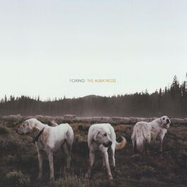 Album cover of The Albatross
