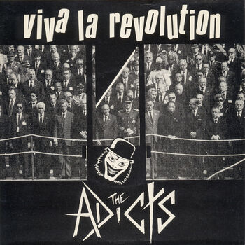 The Adicts Viva La Revolution Listen With Lyrics Deezer