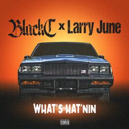 Album cover of What's Hat'nin (feat. Larry June)