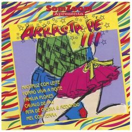 Album cover of SomZoom Apresenta: Arrasta Pé, III