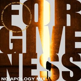 Album cover of Forgiveness (No Apology Mix)