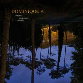 Album cover of Reflets du monde lointain