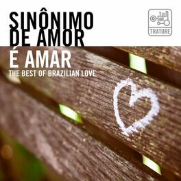 Album cover of Sinônimo de Amor É Amar: Música Romântica e Apaixonada / the Best Brazilian Love Songs