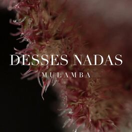 Album cover of Desses Nadas