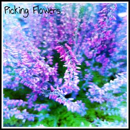Album cover of Picking Flowers