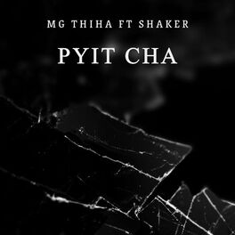 Album cover of Pyit Cha