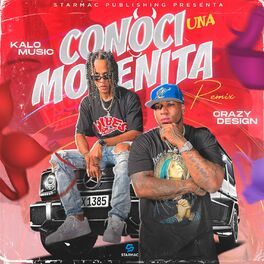 Album cover of Conoci Una Morenita (Remix)