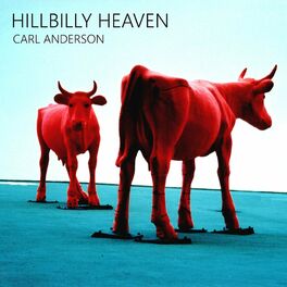 Album cover of Hillbilly Heaven