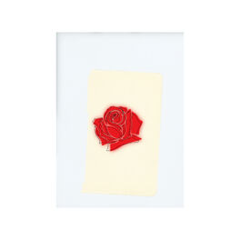 Album cover of ILYSB