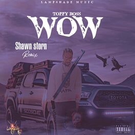 Album cover of Wow (feat. Shawn Storm) [Remix]