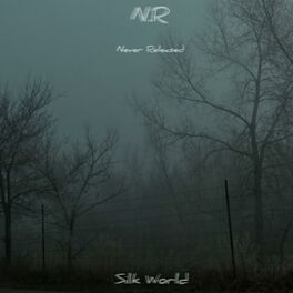 Album cover of N.R