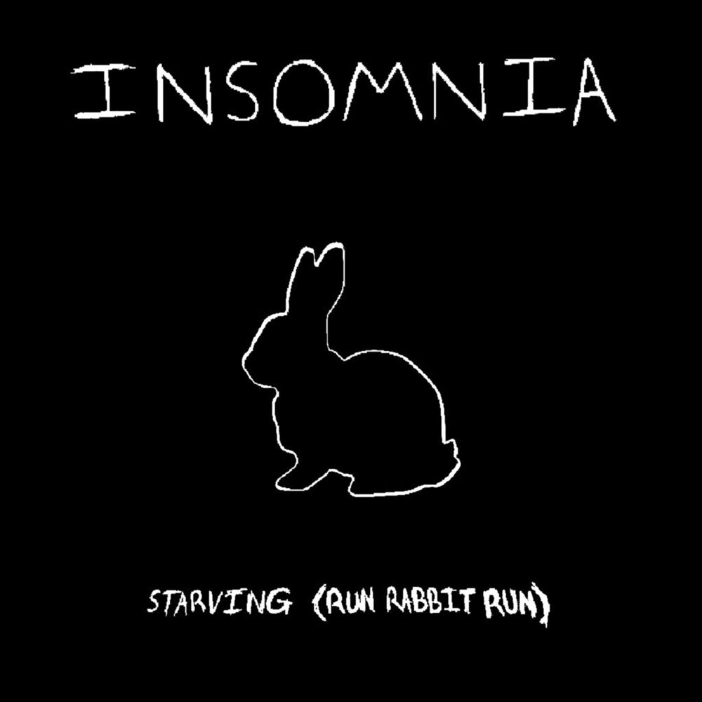 Текст песни бессонница. Run Rabbit Run. Run Rabbit Run Rabbit Run Run Run. Песня Run Rabbit Run. Песня Run Rabbit Run Rabbit.