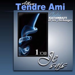 Album cover of Tendre ami