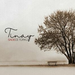Album cover of Sadece Türkü (Akustik)