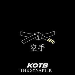 Album cover of Karate (feat. The Synaptik)