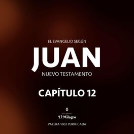 Album cover of El Evangelio Según Juan Capítulo 12 (Nuevo Testamento Valera 1602)