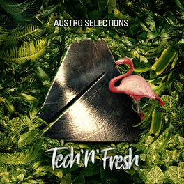 Album cover of Austro Selections: Tech'n'fresh