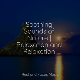 Album cover of Soothing Sounds of Nature | Relaxation and Relaxation