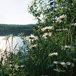 Album cover of The Way That I Am