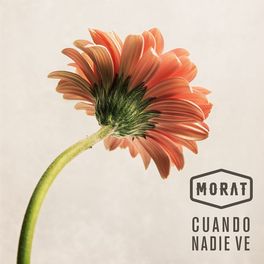 Album cover of Cuando Nadie Ve