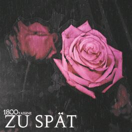 Album cover of Zu Spät