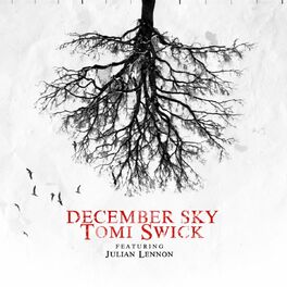 Album cover of December Sky (feat. Julian Lennon)