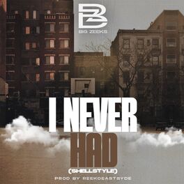 Album cover of I NEVER HAD