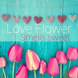 Album cover of Love Flower Smells Sweet