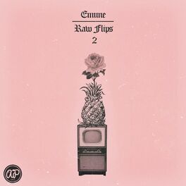 Album cover of Raw Flips 2