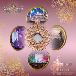 Album cover of Auditorio Nacional 2014 (En Vivo)