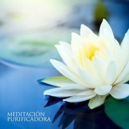 Album cover of Meditación Purificadora: Música para Ejercicios de Respiración, Yoga y Meditación Trascendental