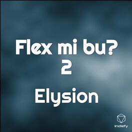 Album cover of Flex Mi Bu? 2