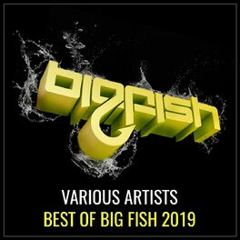 Album cover of Best of Big Fish 2019