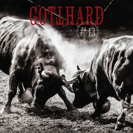 Album cover of #13