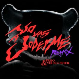 Album cover of No Vas a Joderme (Sticky M.A., Frijo & Young Cister Remix)