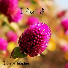 Album cover of I fiori di
