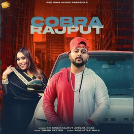 Album cover of Cobra Rajput