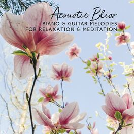 Album cover of Acoustic Bliss: Piano & Guitar Melodies for Relaxation & Meditation, Stress Relief, Study, Sleep,Soft Music