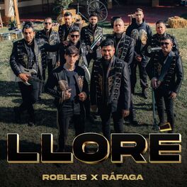 Album cover of Lloré