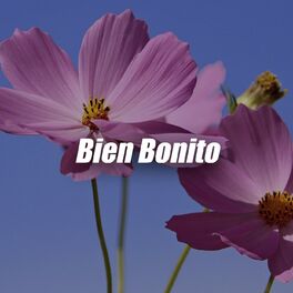 Album cover of Bien Bonito