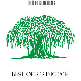 Album cover of Best Of Spring 2014
