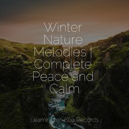 Album cover of Winter Nature Melodies | Complete Peace and Calm
